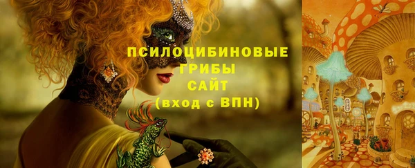 apvp Алексин