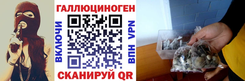 kraken зеркало  Покров  Галлюциногенные грибы прущие грибы  купить  